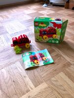 LEGO Duplo 10859 Marienkäfer My First Ladybird Sachsen-Anhalt - Halle Vorschau