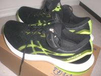 ASICS GEL-PULSE 13 Schuhe! Gr. 46,5! Innens. 29,5cm!NEU! eh 129€ Hessen - Babenhausen Vorschau