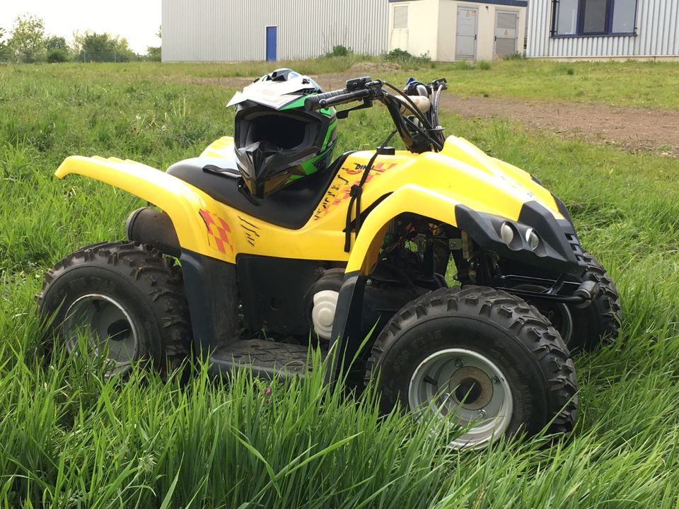 Quad Dinli 50ccm Kinderquad in Gotha