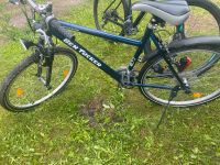 Kinderfahrrad, Damenfahrrad Brandenburg - Groß Kreutz Vorschau