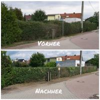 Hecke schneiden Strauch Baum Rasenpflege Laub Unkraut Sachsen - Schkeuditz Vorschau