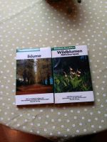 Wildblumen und Bäume Baden-Württemberg - Neuffen Vorschau