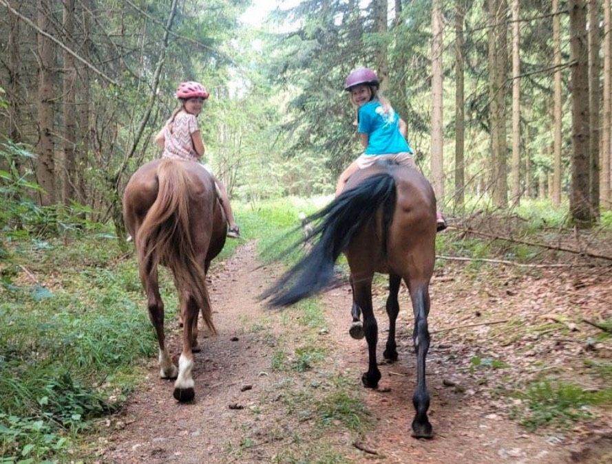 Reittherapie, reiten für Menschen mit Handicap, heilpädagogisches in Kißlegg