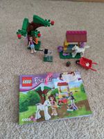 LEGO 41003 - Friends - Olivias Fohlen Hessen - Dreieich Vorschau