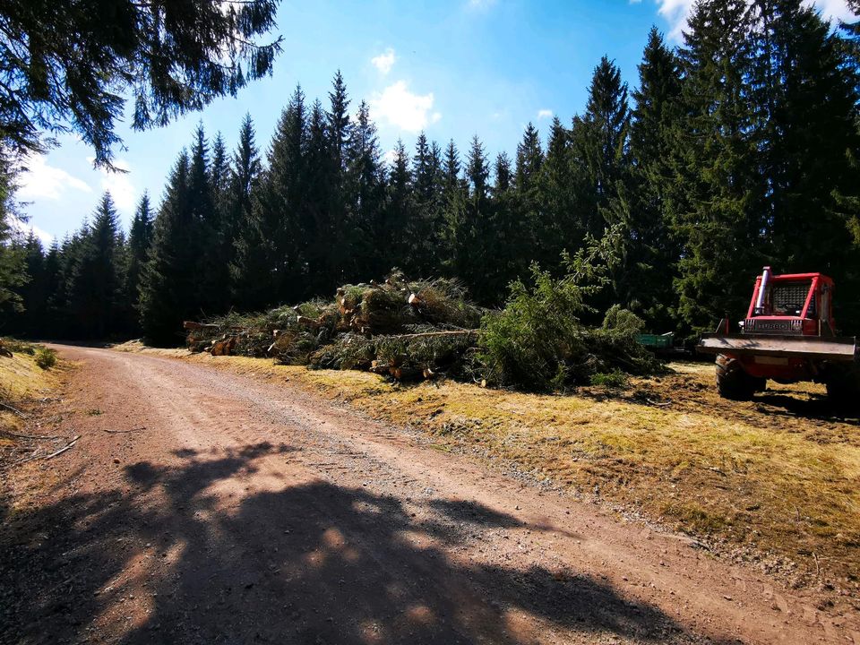 Arbeit Forstwirt, Garten- & Landschaftsbauer in Bad Salzungen