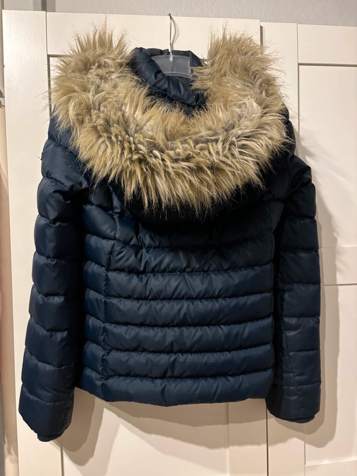 Thommy Hilfiger Winterjacke in Marbach am Neckar