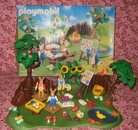 Playmobil - Hasen 4450 + 4454  TierhilfeBruno.de Niedersachsen - Pollhagen Vorschau