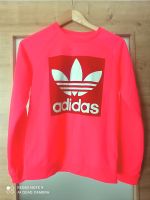 Adidas Sweatshirt  36 Bayern - Dinkelsbuehl Vorschau