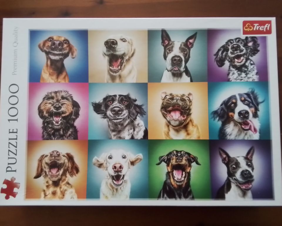 Trefl Puzzle Premium Qualität Hunde Funny Dog Portrait in Dossenheim