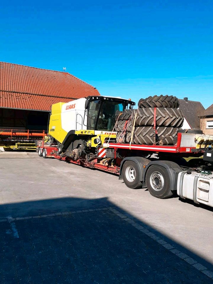 Claas  Dominator Mega Lexion Medion Tucano in Geretsried