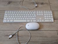 Apple Tastatur Keyboard Mighty Maus Mouse Bochum - Bochum-Süd Vorschau