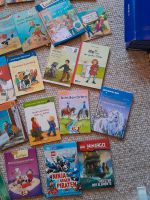 Diverse Kinderbücher, Leseanfänger, Schnullerfee, Ninjago Schleswig-Holstein - Hohenlockstedt Vorschau