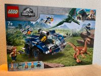 LEGO 75940 Jurassic World Gallimimus Pteranodon NEU & OVP Hessen - Marburg Vorschau