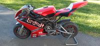 Blata C1 Nachbau!!Pocketbike PoC fertig!!!Rennsport!!! Sachsen - Hochkirch Vorschau