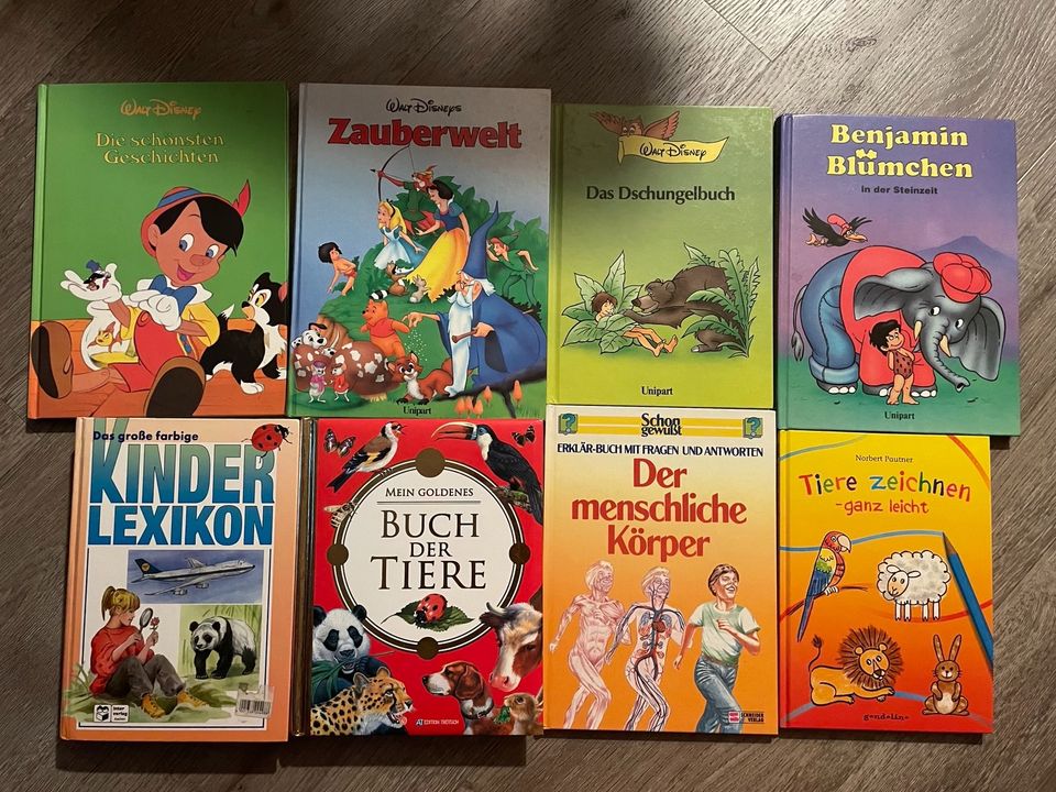 Kinderbücher z.B. Disney je 2€ in Neustrelitz
