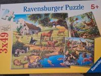 Puzzle 3x49 Teile, Haustiere Sachsen - Dippoldiswalde Vorschau