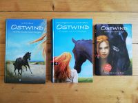 Jugendbücher Reiten Ostwind Band 1 & 2 & 4 Sachsen - Radebeul Vorschau