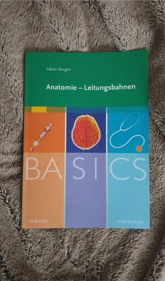 Anatomie - Leitungsbahnen Basics Medizin Elsevier Urban & Fischer in Delmenhorst