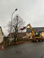 Rodungen, Baumfällungen, Mulcharbeiten Saarland - Ottweiler Vorschau