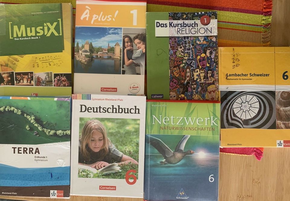 Schulbücher 6. Klasse RLP (6 Bücher, s.u.) in Mainz