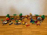 DUPLO Zoo (5634) und viele Extras *sehr guter Zustand* Niedersachsen - Weyhe Vorschau