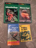 Vögel, Schmetterlinge, Pflanzen u.Tiere im Wald Niedersachsen - Braunschweig Vorschau