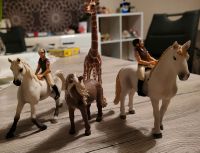 Schleich Pferde Borsdorf - Panitzsch Vorschau