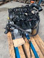 Audi VW Skoda 2.0 Tfsi Motor DKZ DKZA 190ps Komplett Engine Rheinland-Pfalz - Hachenburg Vorschau