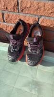 ASICS LAUFSCHUH Niedersachsen - Velpke Vorschau