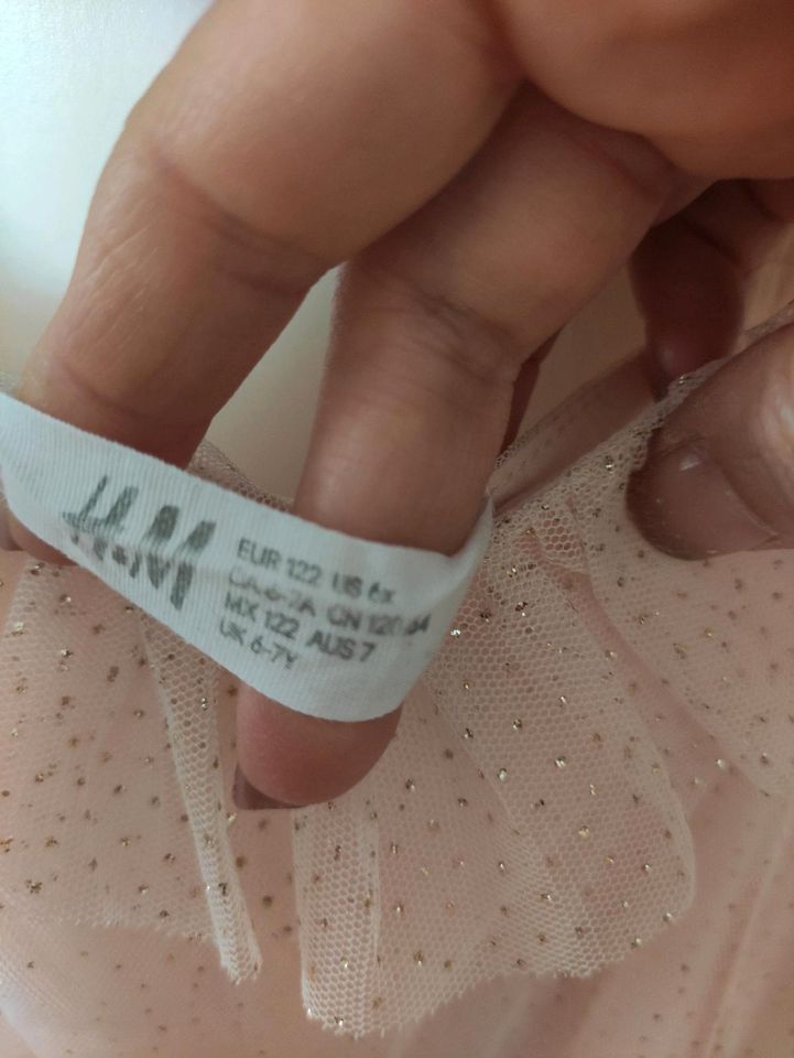 H&M Kleid rosé Glitzerkleid Gr. 122 in Rostock