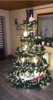 Weihnachtsbaum mal anders.. Kinderaugen werden leuchten Bayern - Buchloe Vorschau