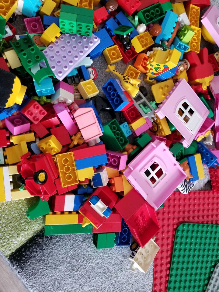 LEGO DUPLO, Steine, Tiere, Bauplatte, Fahrzeuge in Erfurt