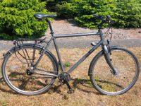 Fahrrad Herren Trekking 28 Zoll XL Niedersachsen - Marklohe Vorschau