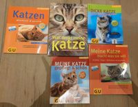 Katzen GU Tierratgeber Niedersachsen - Varel Vorschau