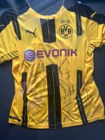 Bvb Trikot mit Unterschrift ganzer Mannschaft Sachsen-Anhalt - Staßfurt Vorschau