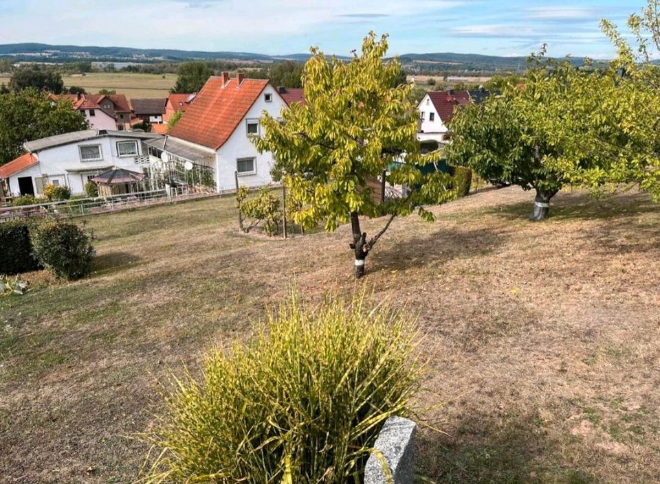 Grundstück / Baugrundstück in Dippach in Werra-Suhl-Tal