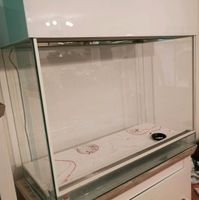 Terrarium aus Glas / Dendrobatenterrarium mit Unterschrank Niedersachsen - Rhauderfehn Vorschau