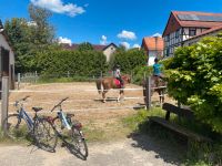 Offenstall, Platz für Pony oder Kleinpferd Niedersachsen - Friedland Vorschau