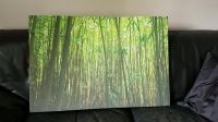 Bild- Leinwand Bambus Wald / Dschungel Niedersachsen - Hildesheim Vorschau