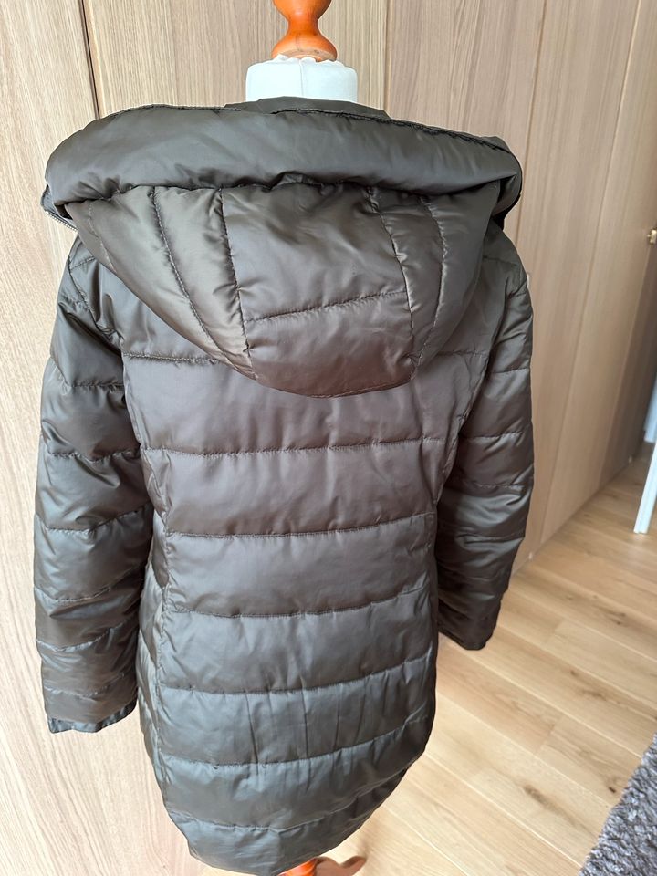 Massimo Dutti leichten Mantel Gr XL passt zu L Olive Farbe in Neufahrn