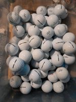 Verkaufe 60 Stück  Vice Golfbälle Modell Pro Nordrhein-Westfalen - Iserlohn Vorschau