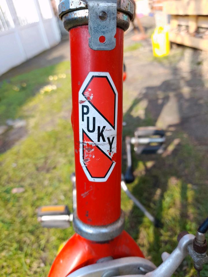 Puky 16er Kinderfahrrad in Neetze