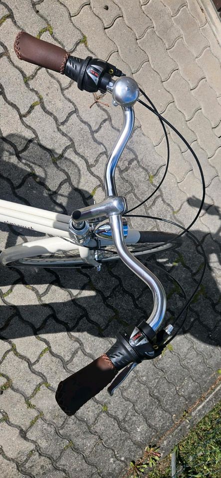 Damen Fahrrad in Moosinning