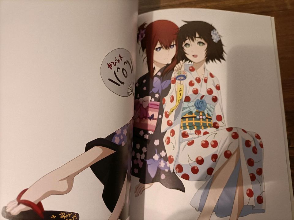 Steins Gate Anime Artbook Manga in Potsdam