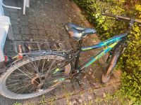 Bergamont Fahrrad Niedersachsen - Peine Vorschau