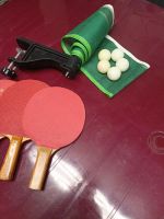 Tischtennis Zubehör Thüringen - Leinefelde Vorschau