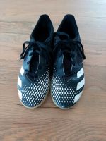 Adidas Predator Turnschuhe Sportschuhe Hallenschuhe Gr. 35 Bayern - Mammendorf Vorschau