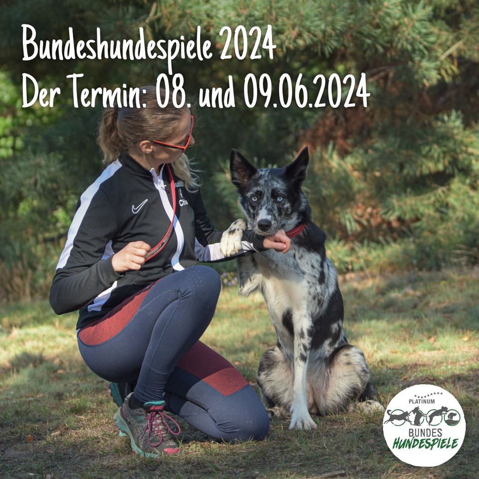20 % Rabatt auf Tickets Bundeshundespiele 2024 - Du und dein Hund in Hameln
