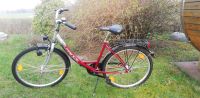 26'' Fahrrad Prince 3 Gänge NEU Sachsen - Steina Vorschau