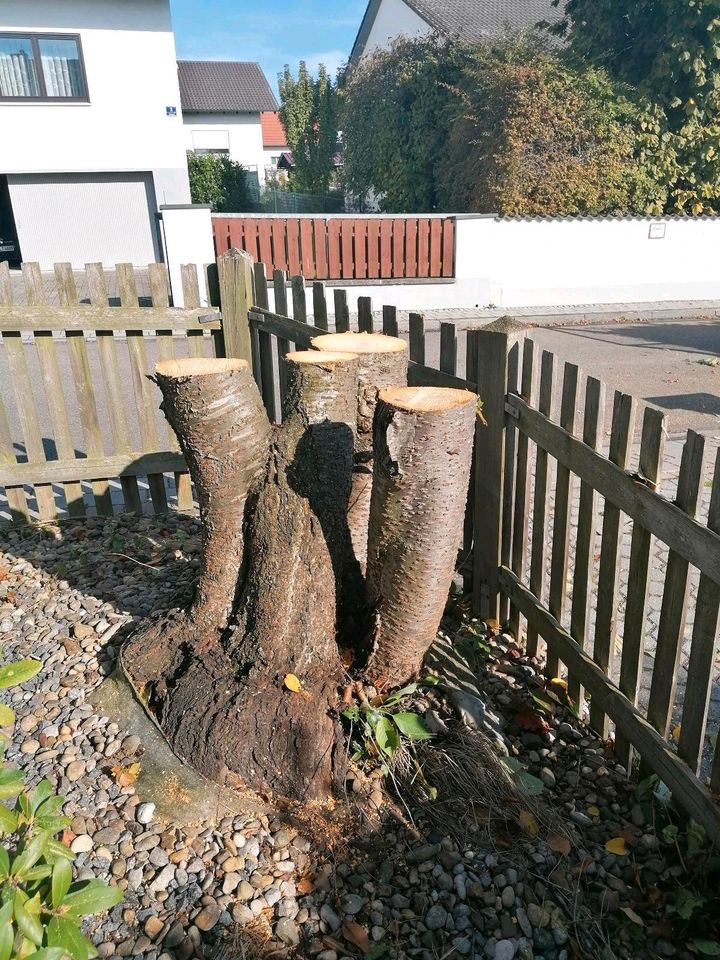 Gartenpflege Gartenarbeiten in Ingolstadt